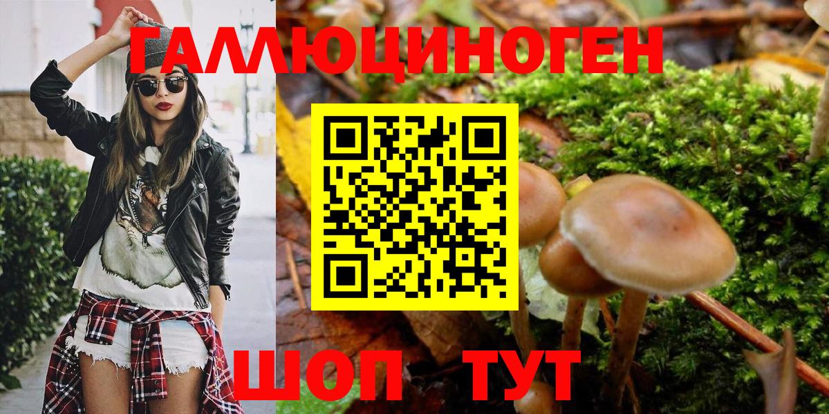 Псилоцибиновые грибы MAGIC MUSHROOMS Лениногорск
