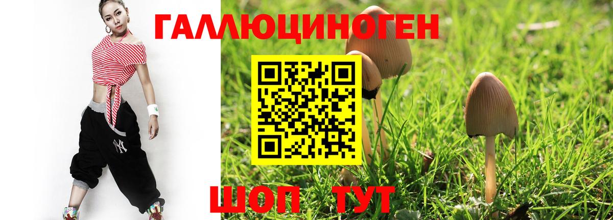 наркота  Вход с VPN  Лениногорск  Галлюциногенные грибы GOLDEN TEACHER 
